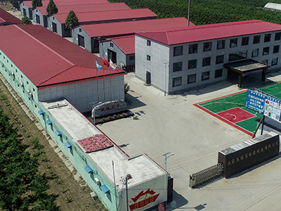 專業(yè)的充電樁經(jīng)營(yíng)模式